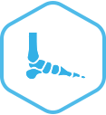 Foot & Ankle Icon