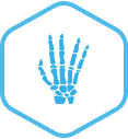Hand & Wrist Icon